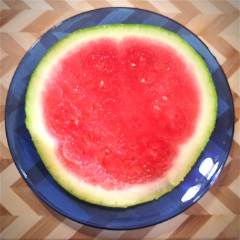 Beat the Diet Blues Watermelon Slice