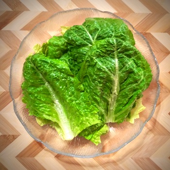 Beat the Diet Blues Romaine Lettuce